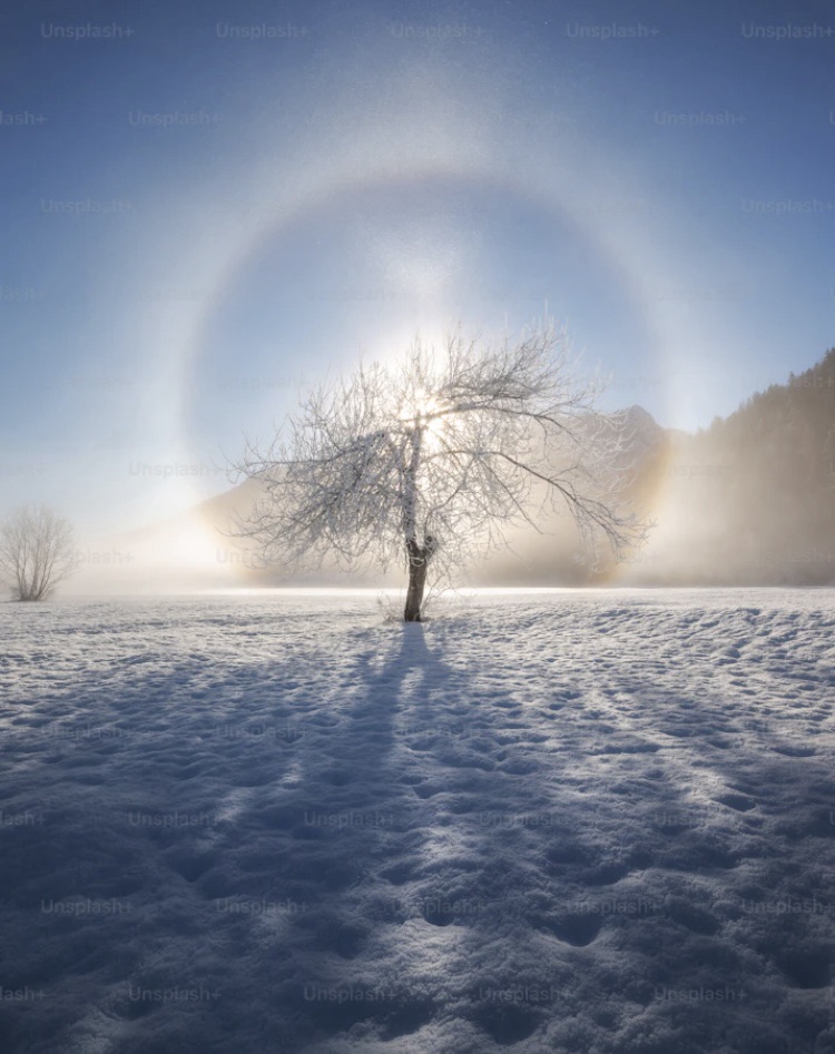 God of all&nbsp;Flesh