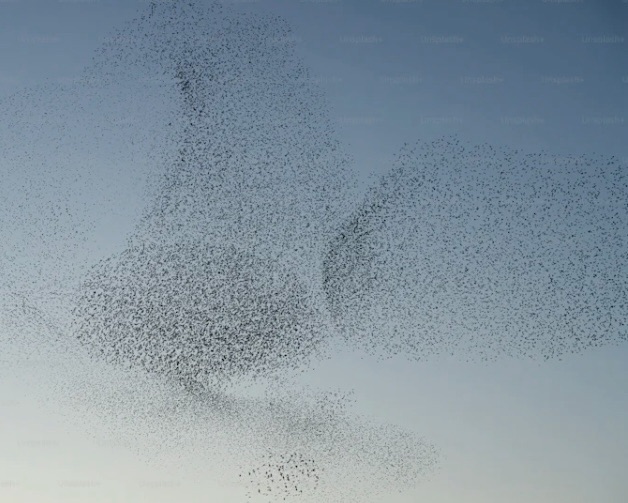 A work in your&nbsp;days!