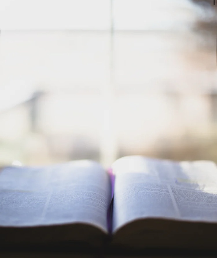 Back to the&nbsp;Word