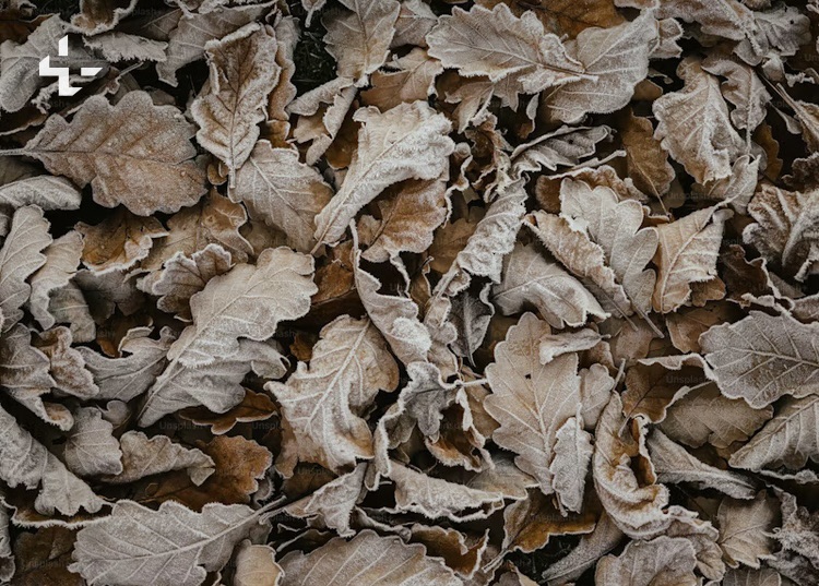 Whoever is not with me