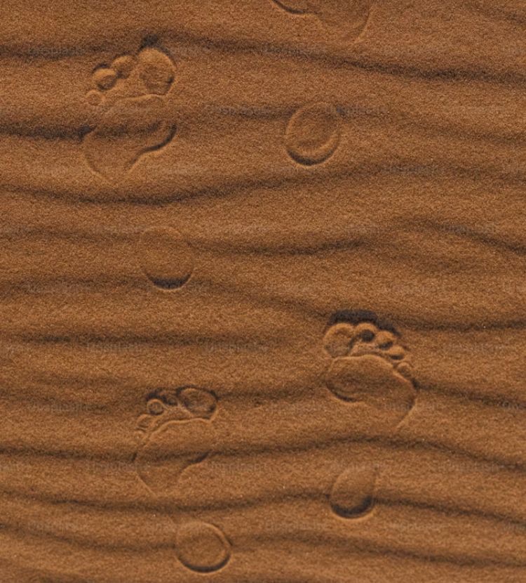 May the Lord Direct your&nbsp;Hearts